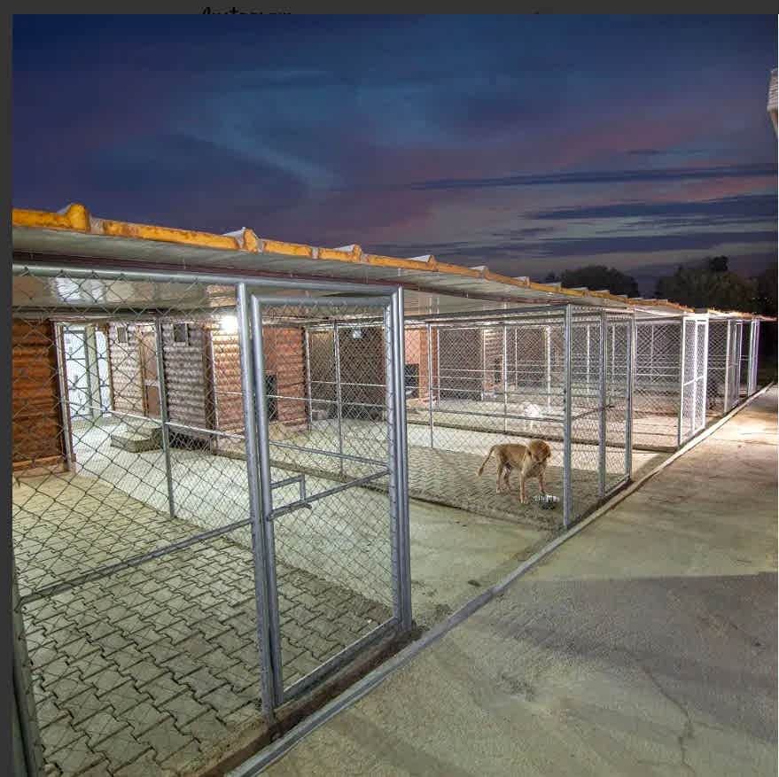 Grande Sole Dog Resort Hotel