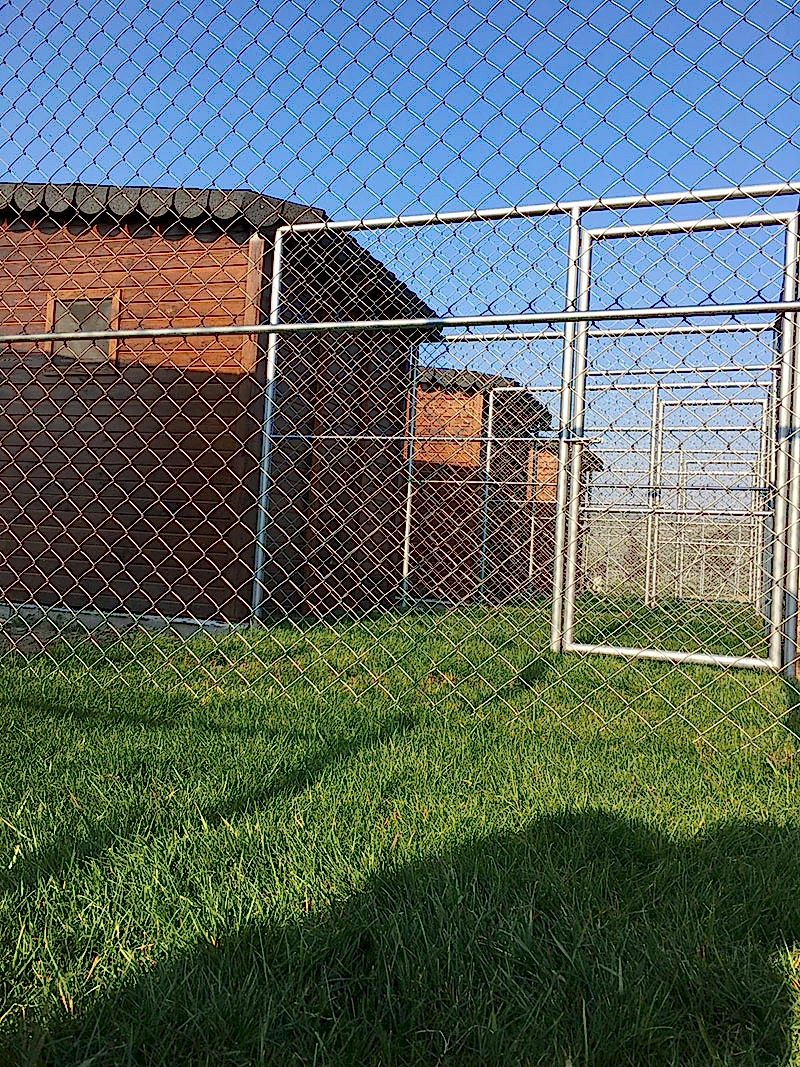 Grande Sole Dog Resort Hotel