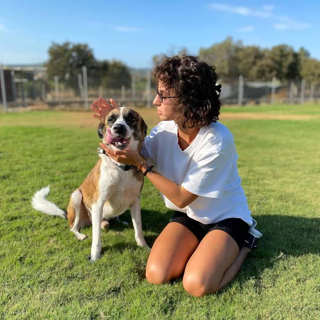 Grande Sole Dog Resort Resim