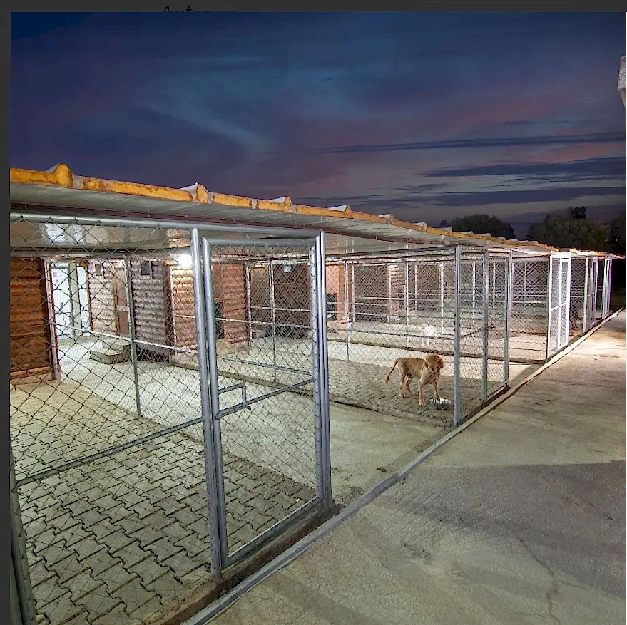 Grande Sole Dog Resort Resim